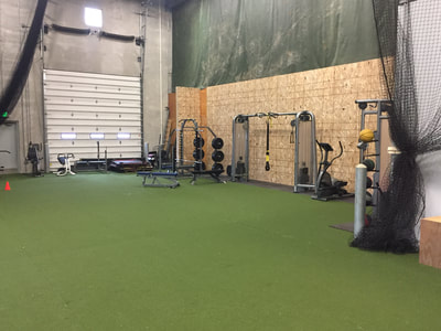 Baseball Institute - Romeoville Weight Room